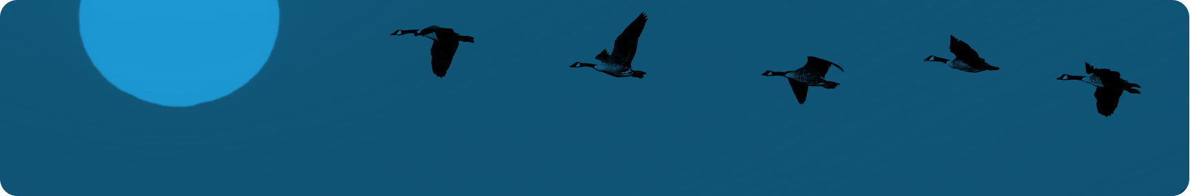 Normativa y documentos